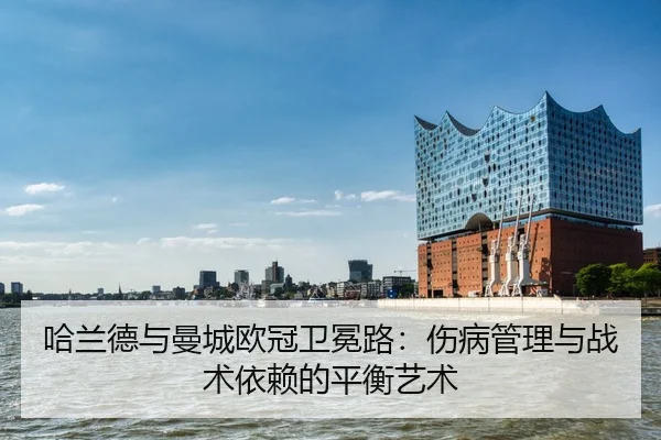 ha-lan-de-yu-man-cheng-ou-guan-wei-mian-lu-shang-bing-guan-li-yu-zhan-shu-yi-lai-de-ping-heng-yi-shu-2-171.jpg