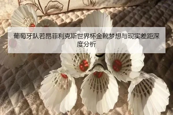 pu-tao-ya-dui-ruo-ang-fei-li-ke-si-shi-jie-bei-jin-xue-meng-xiang-yu-xian-shi-cha-ju-shen-du-fen-xi-3-810.jpg